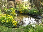 Schner Teich